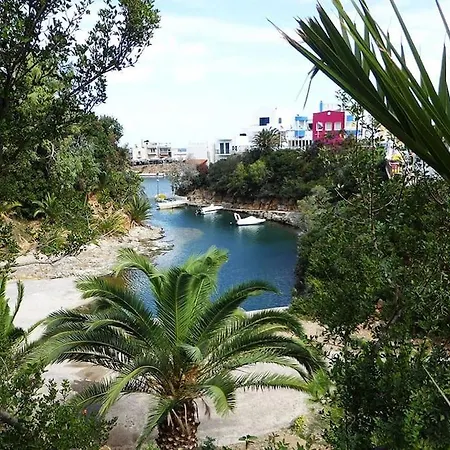 Olive * Sissi (Crete)